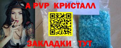 шишки Новодвинск