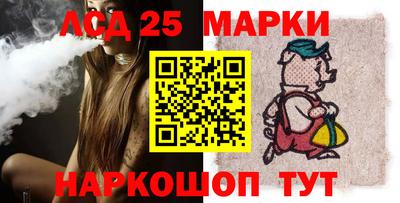 шишки Новодвинск