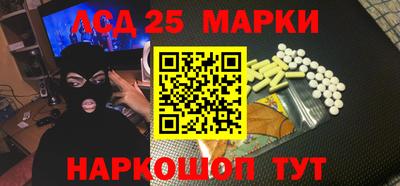 шишки Новодвинск