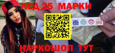 шишки Новодвинск