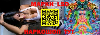 шишки Новодвинск