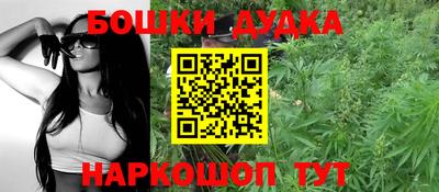 шишки Новодвинск