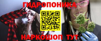 шишки Новодвинск