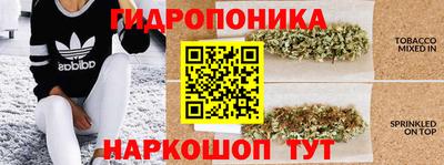 прущие грибы Обь