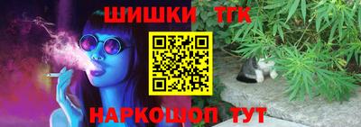 шишки Новодвинск