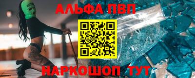 шишки Новодвинск