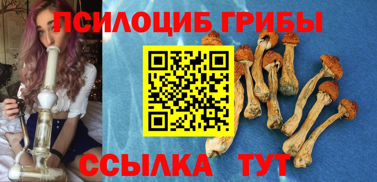 Псилоцибиновые грибы Psilocybe  Вход с VPN  Псилоцибиновые грибы Psilocybe  Советская Гавань 